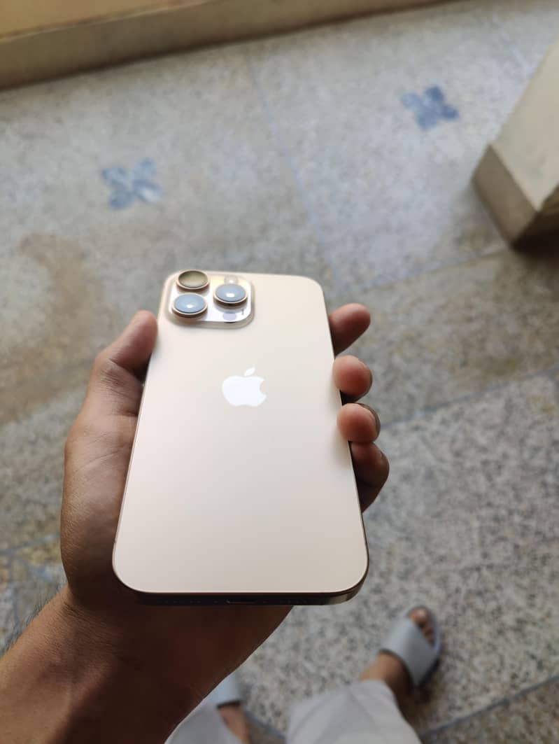 Apple iPhone 16 Pro Max 1