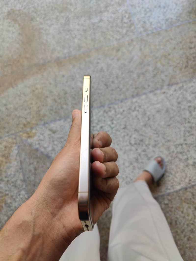 Apple iPhone 16 Pro Max 3