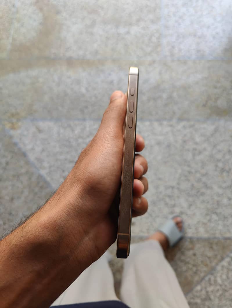 Apple iPhone 16 Pro Max 4