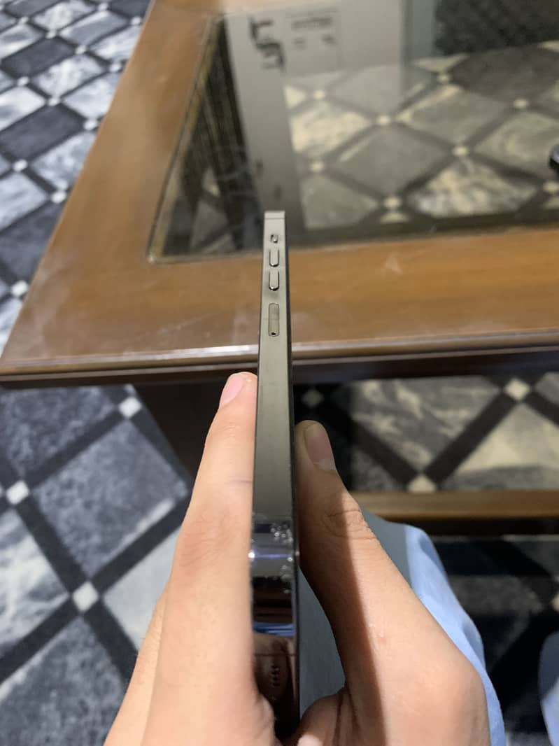 Apple iPhone 13 Pro Max 2