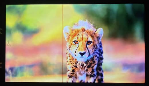 TCL 55” 4K Smart LED TV