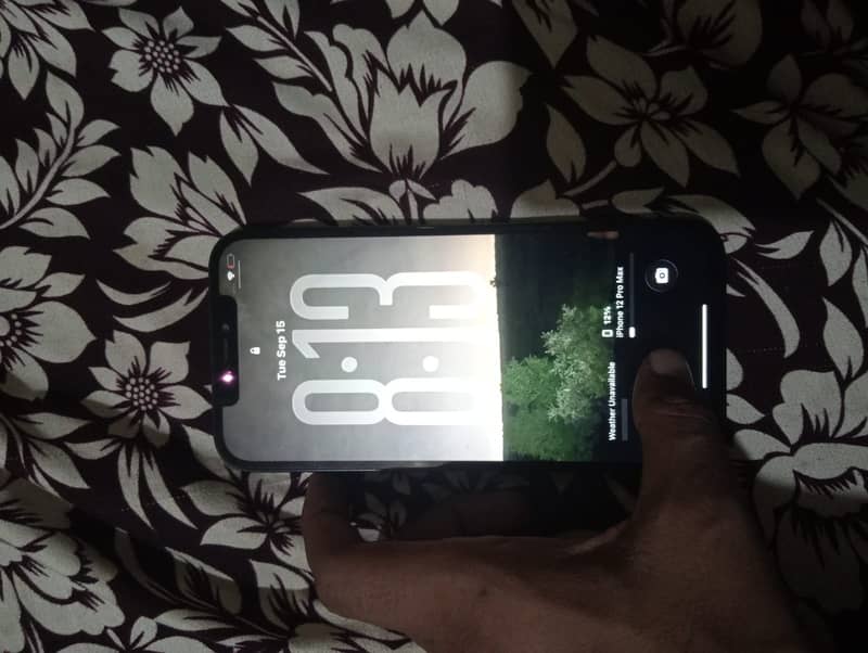 Apple iPhone 12 Pro Max 1