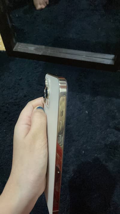 Apple iPhone 12 Pro Max