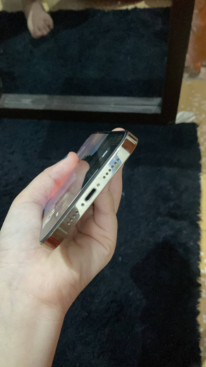 Apple iPhone 12 Pro Max 1