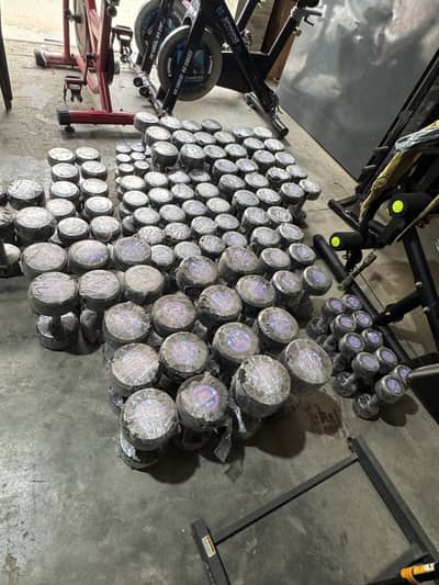 Rubber Coated Dumbells Available Here