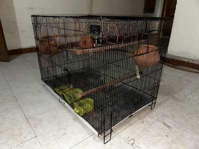 3 x 2 x 2 feet birds cage
