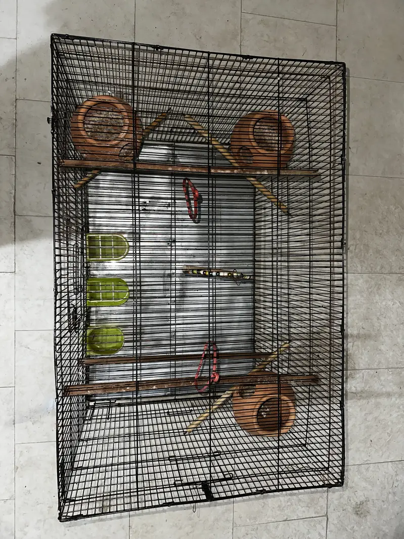 3 x 2 x 2 feet birds cage — photo 2