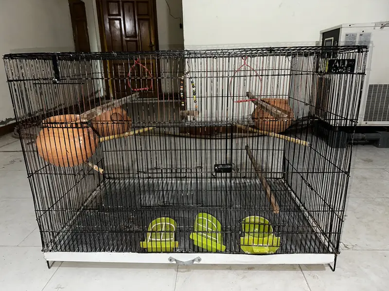 3 x 2 x 2 feet birds cage — photo 3