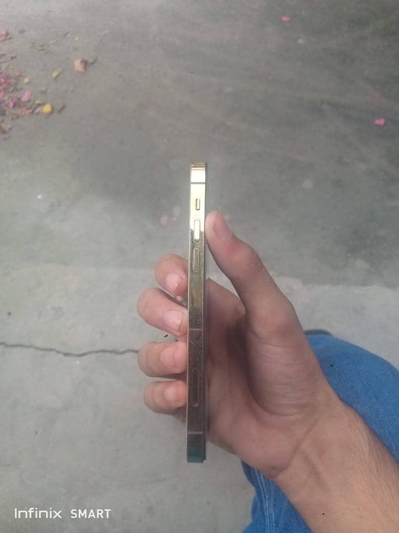 Apple iPhone 12 Pro 1