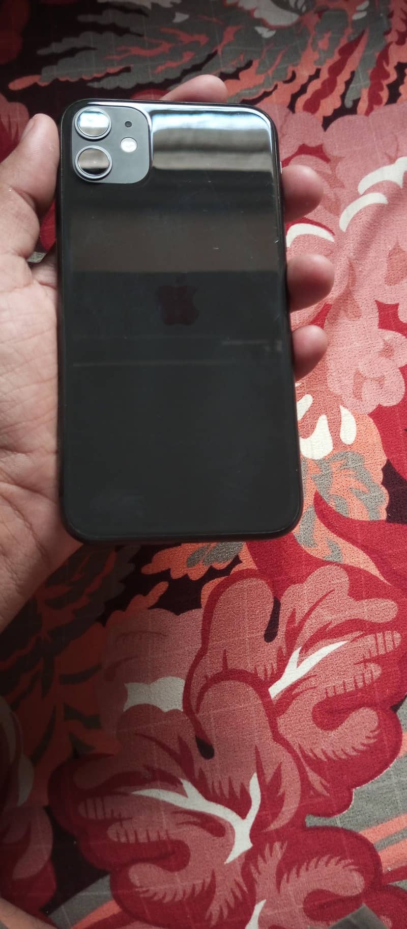 Apple iPhone 11 0