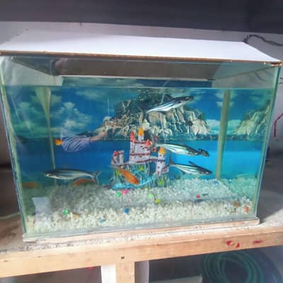 Fresh aquarium with fishs
