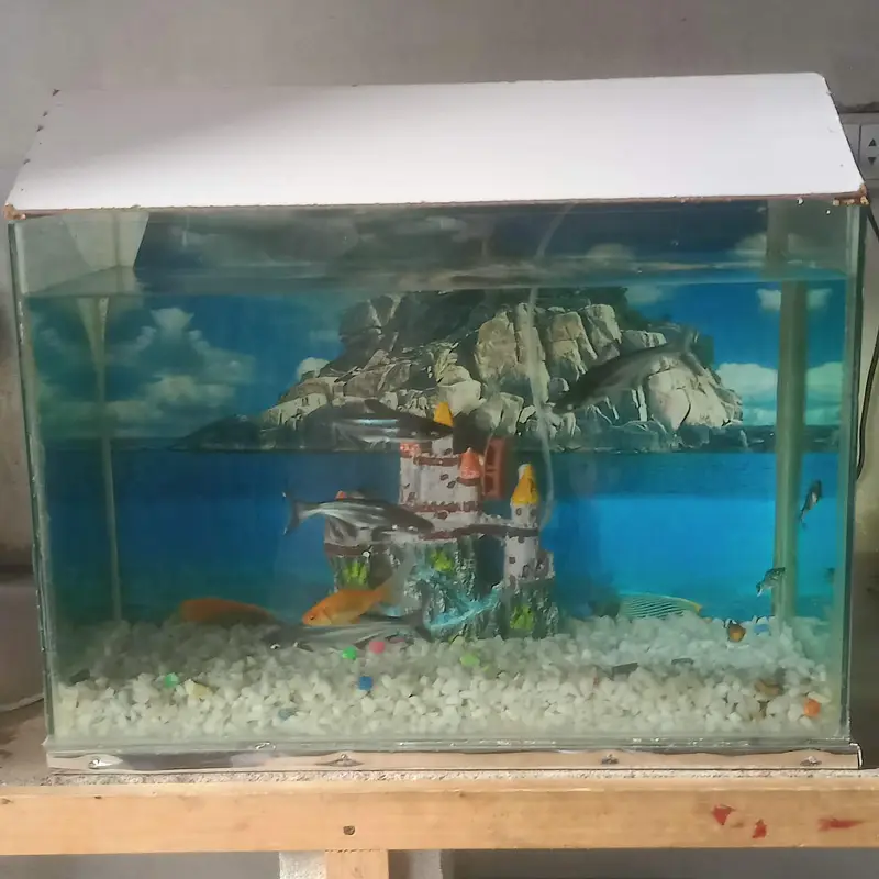 Fresh aquarium with fishs — photo 2