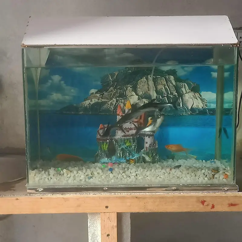 Fresh aquarium with fishs — photo 3