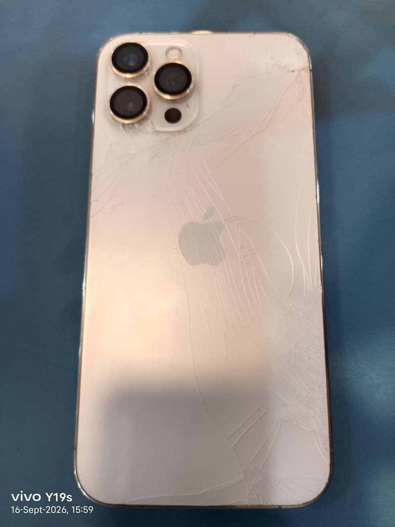 Apple iPhone 12 Pro Max 0