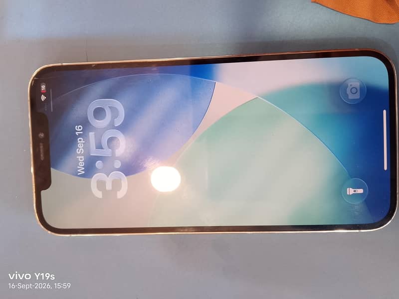 Apple iPhone 12 Pro Max 1