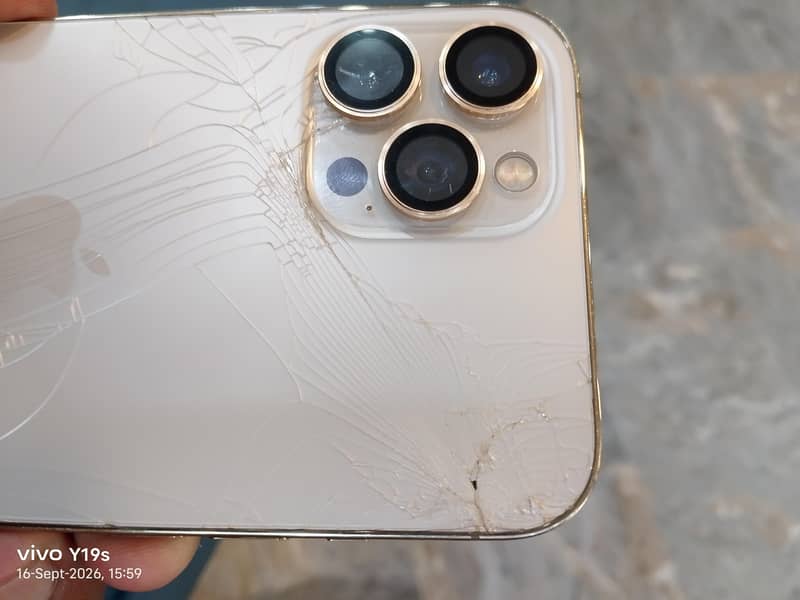 Apple iPhone 12 Pro Max 2