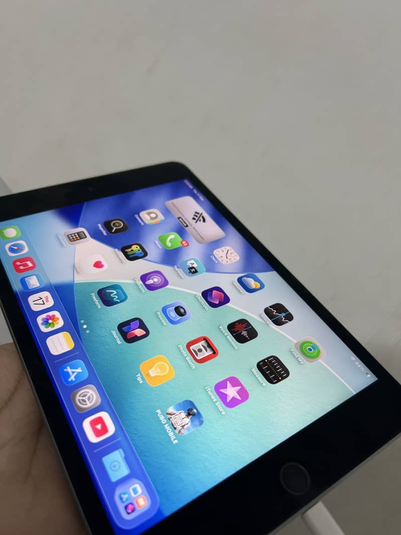 I pad mini 5 0
