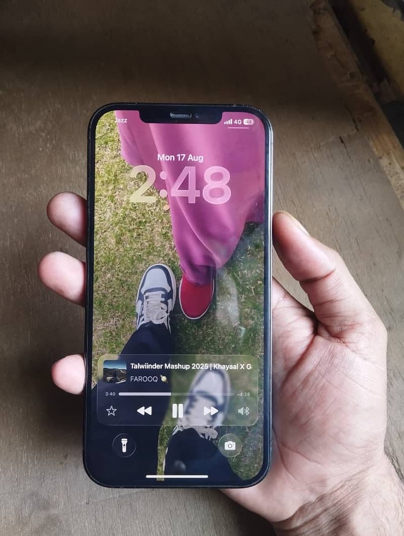 Apple iPhone 12 Pro Max 1