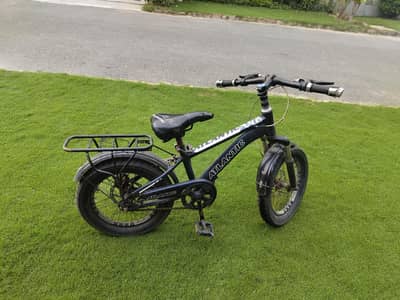 Bicycle