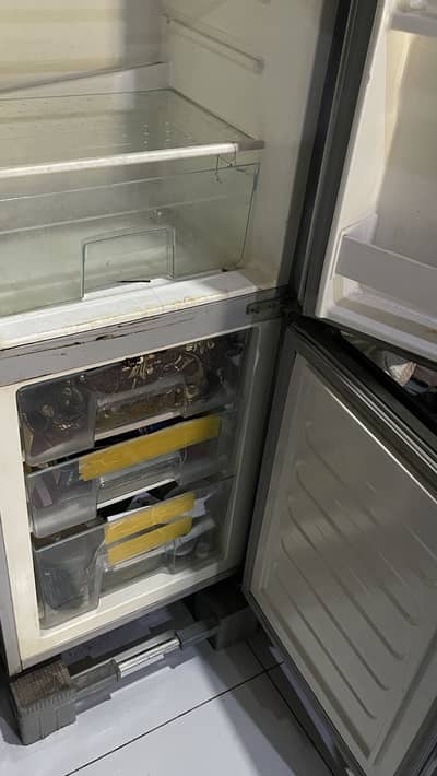 Canon refrigrator | 10/10 working