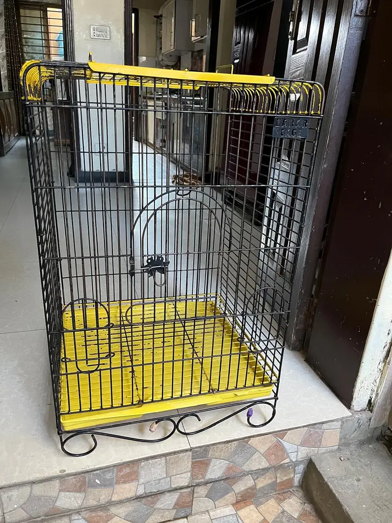 Imported Bird (Parrot) Cage For Sale In Johar Town — photo 4