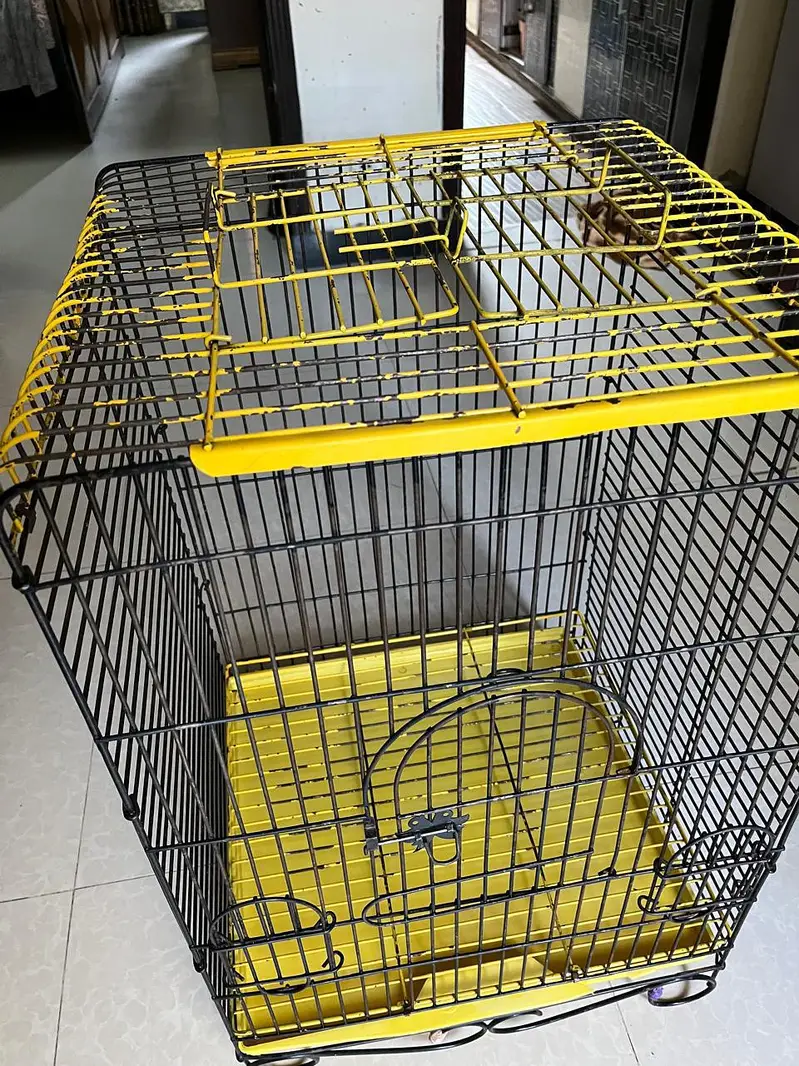 Imported Bird (Parrot) Cage For Sale In Johar Town — photo 8