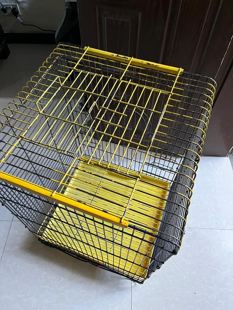 Imported Bird (Parrot) Cage For Sale In Johar Town — photo 9