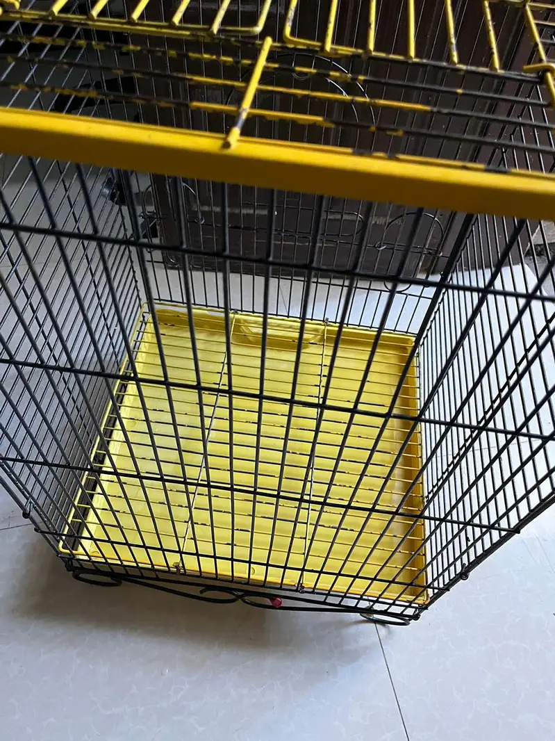 Imported Bird (Parrot) Cage For Sale In Johar Town — photo 10
