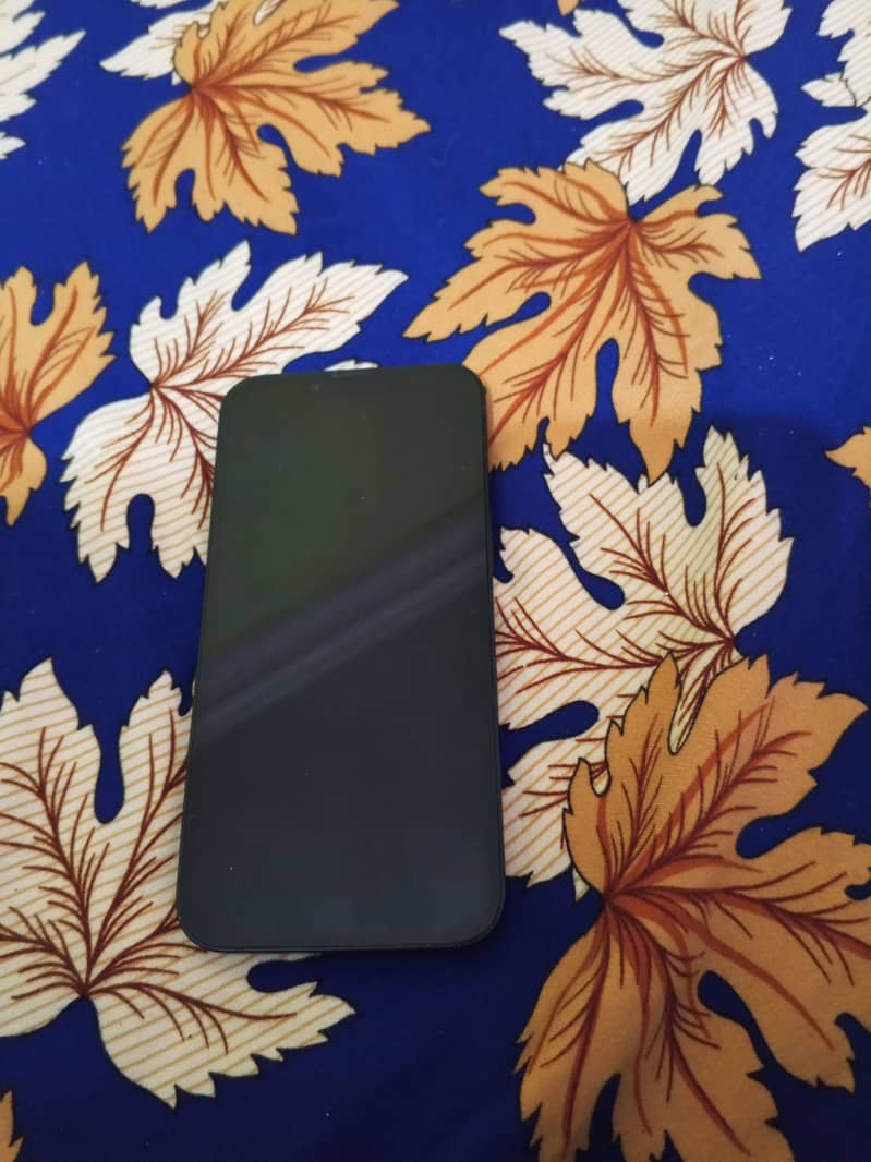 Apple iPhone 13 6