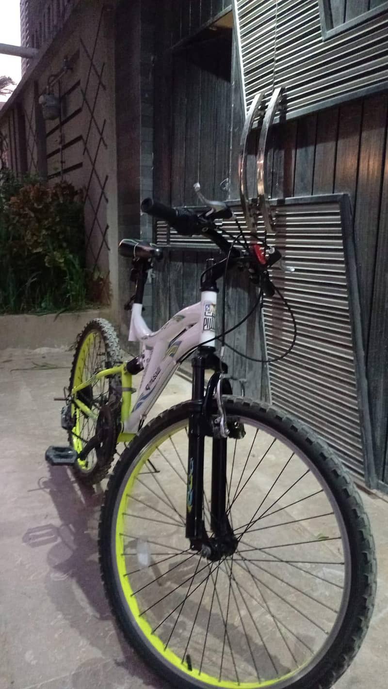 Imported bicycle 1