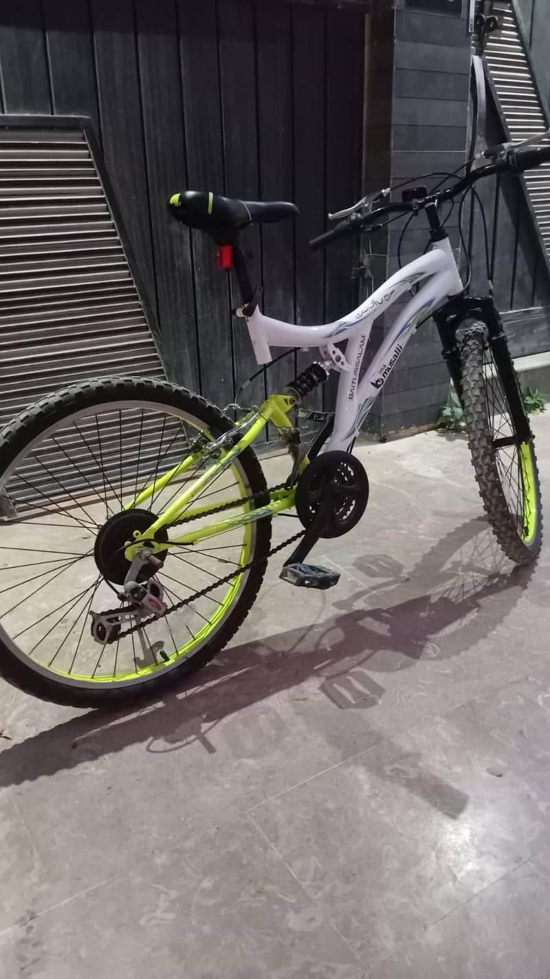 Imported bicycle 5