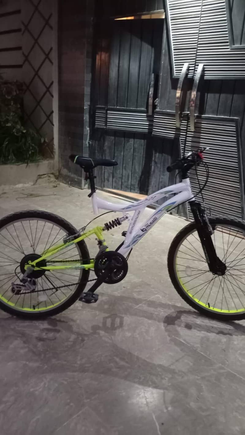 Imported bicycle 10