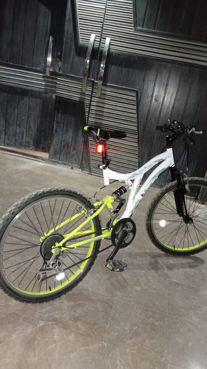 Imported bicycle 12