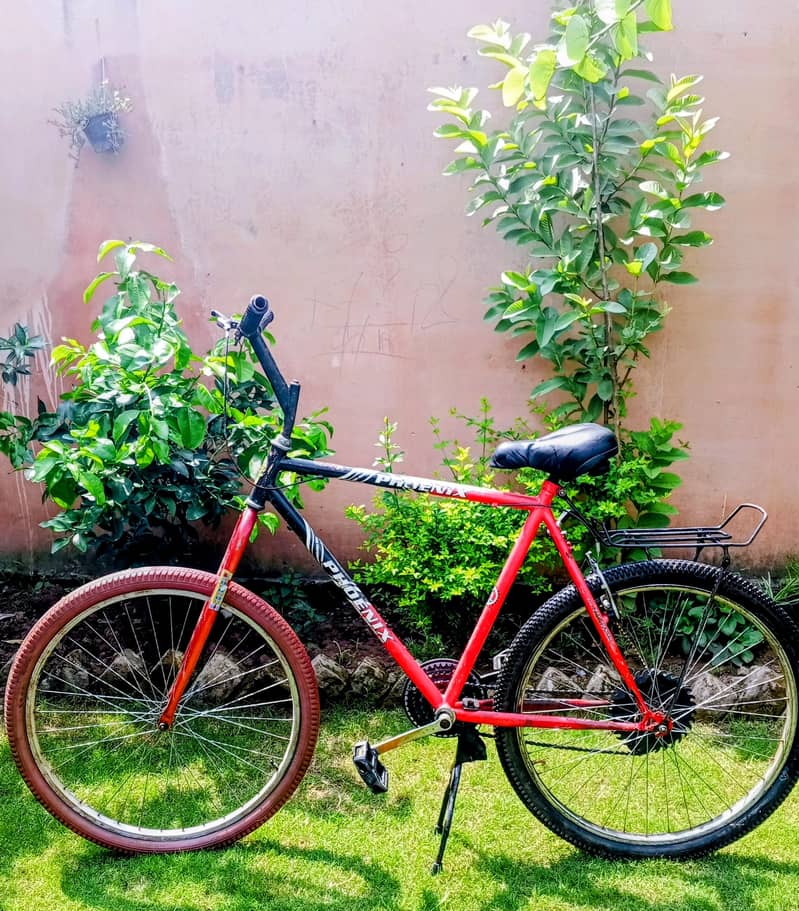 bicycle 0