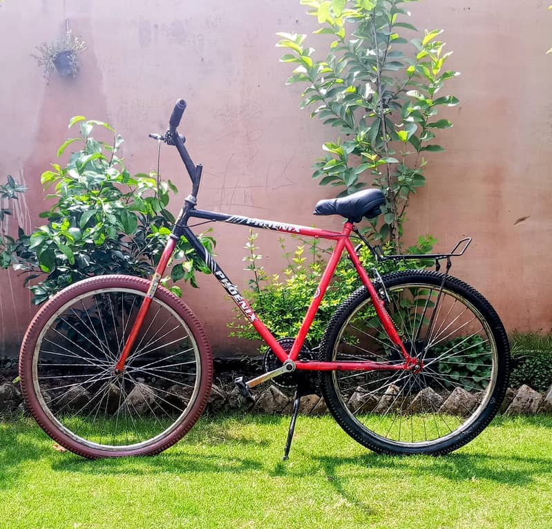 bicycle 1
