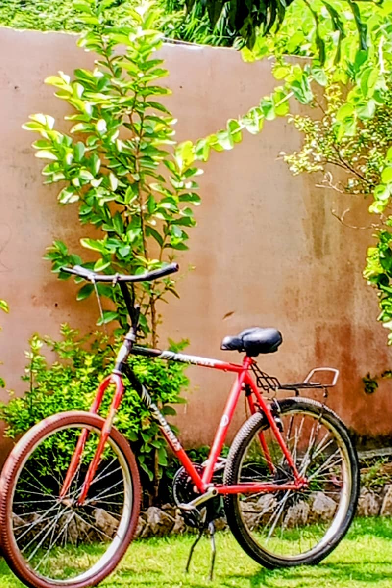 bicycle 2
