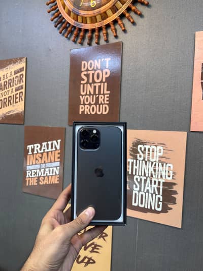 Apple iPhone 13 Pro Max