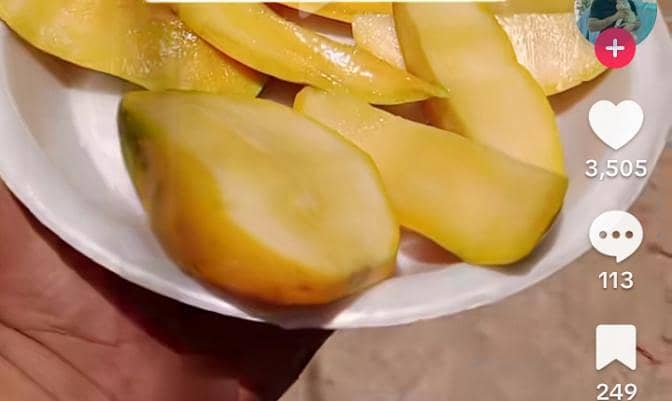 ضرورت اسٹاف 1