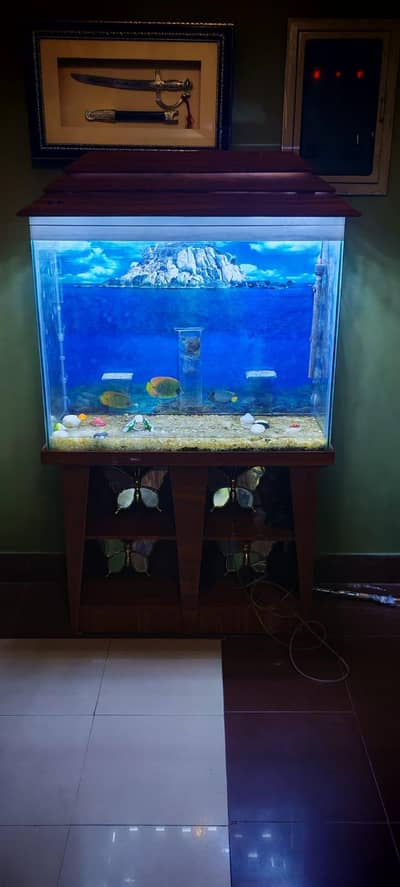 urgent sale aquarium zero damage zero leakage with all accessories for