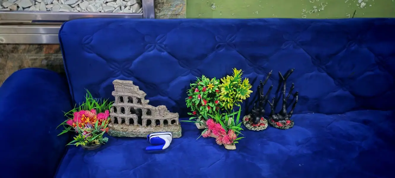 urgent sale aquarium zero damage zero leakage with all accessories for — photo 5