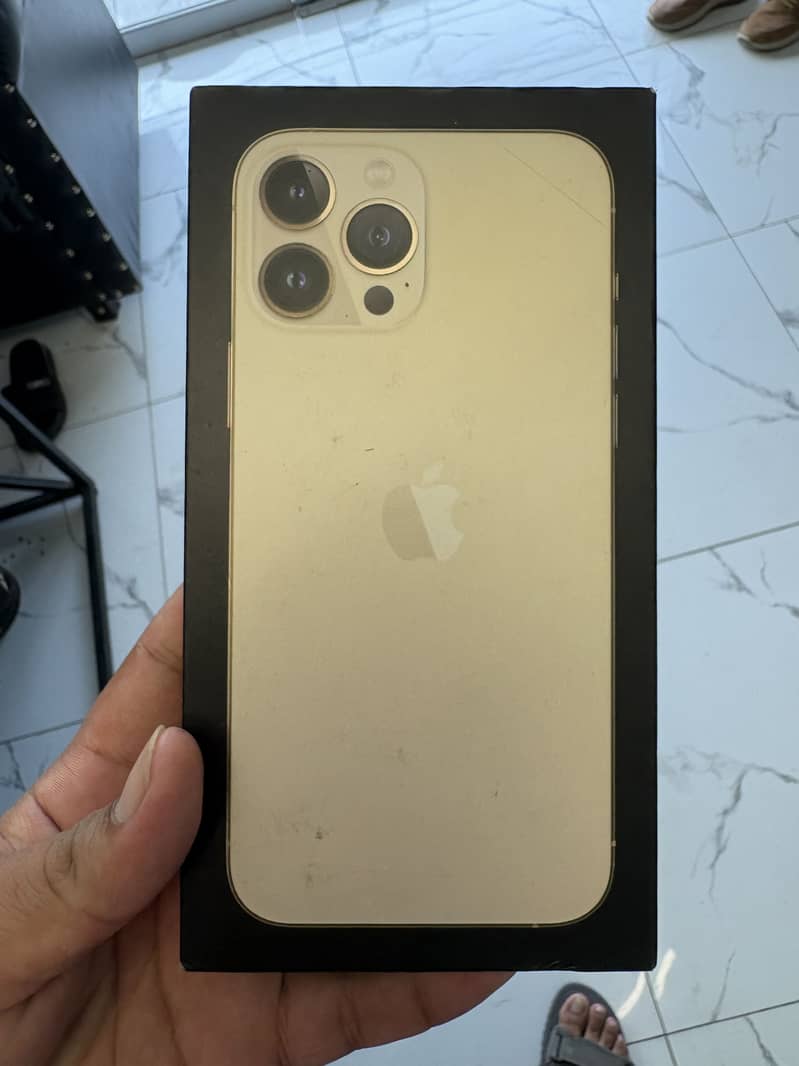 Apple iPhone 13 Pro Max 1