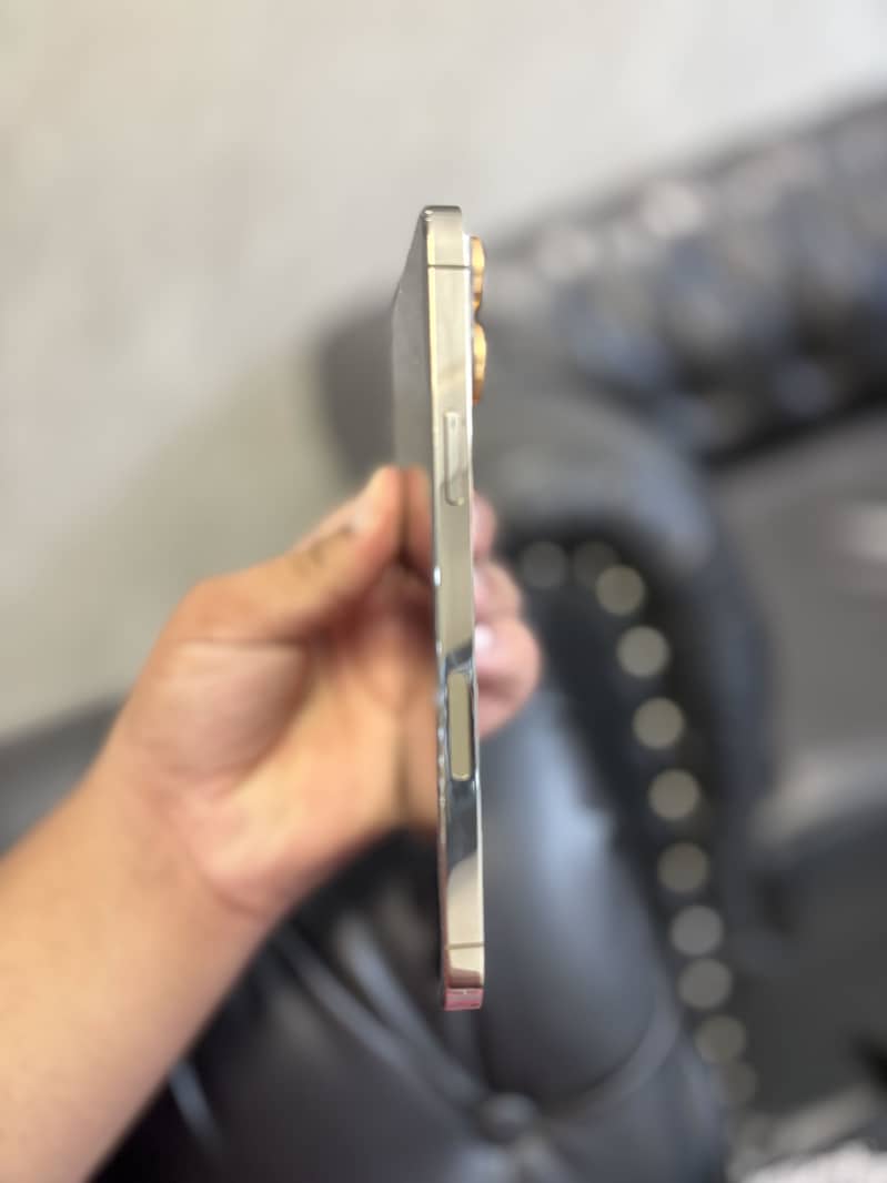 Apple iPhone 13 Pro Max 3