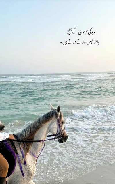 Hafiz Muhammad Hassan 