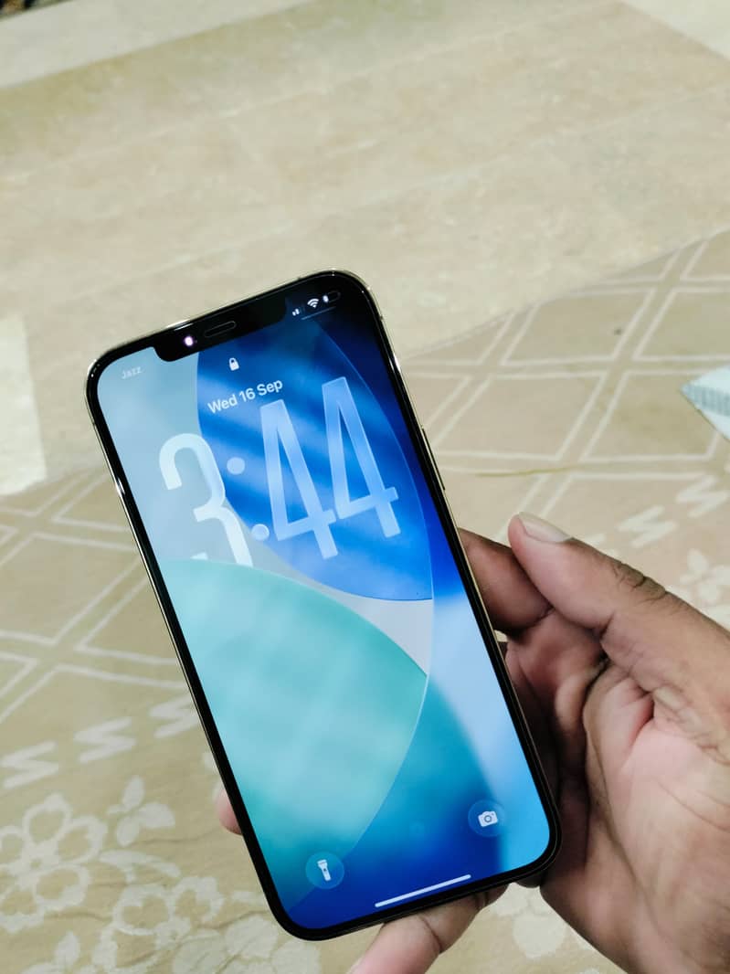 Apple iPhone 12 Pro Max 1