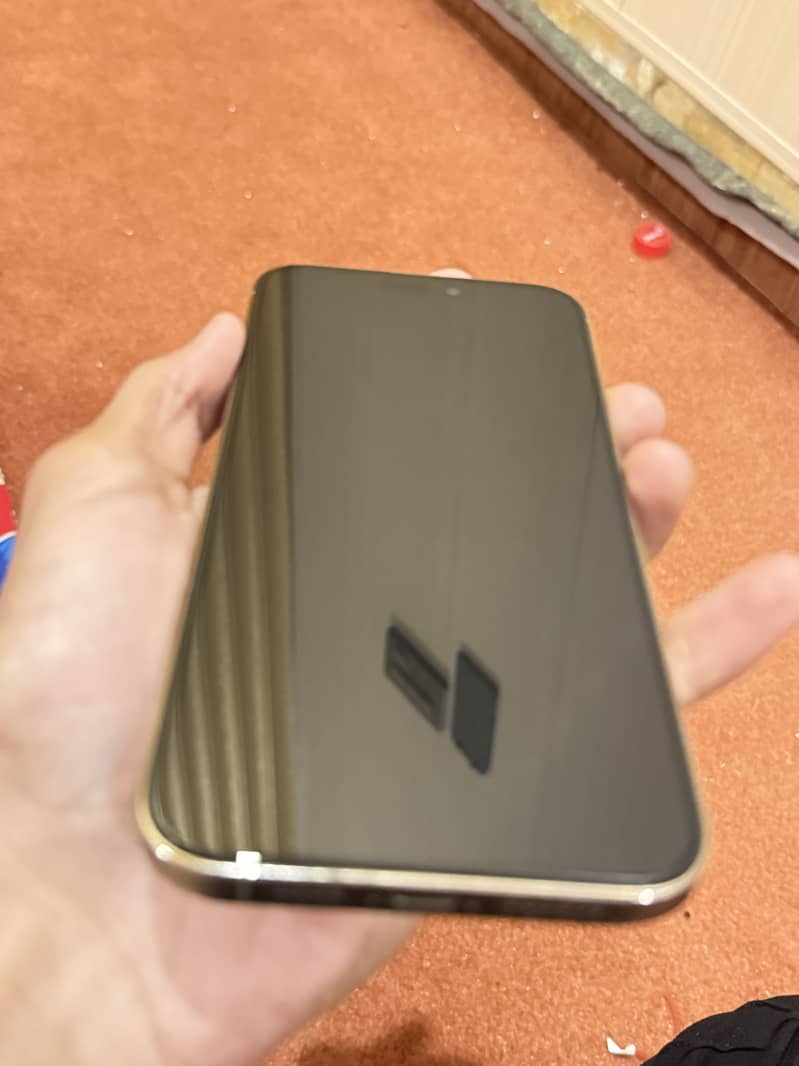 Apple iPhone 14 Pro Max 2