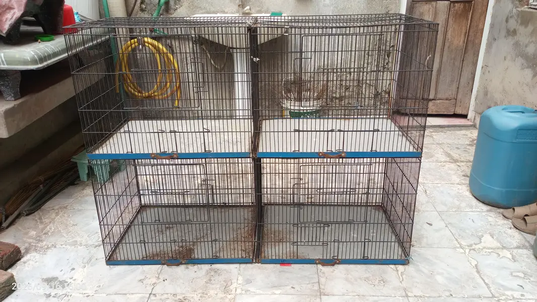 Iron Cage for hens,birds etc