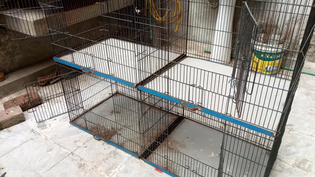Iron Cage for hens,birds etc — photo 3