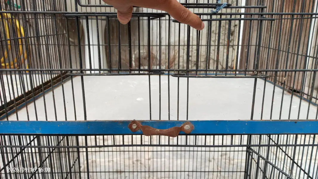 Iron Cage for hens,birds etc — photo 4