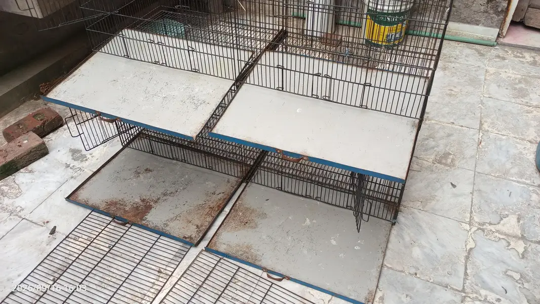 Iron Cage for hens,birds etc — photo 7
