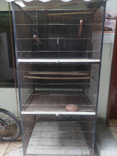 Master cage for parrots